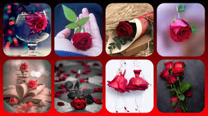 Dp Pics Stylish Rose Dp Pictures For Whatsapp Dp For Girls Youtube 2.2 cool & stylish profile picture. dp pics stylish rose dp pictures for