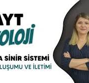 İNSAN FİZYOLOJİSİ - İNSANDA SİNİR SİSTEMİ - İmpuls Oluşumu ve İletimi 2.  Bölüm - AYT Biyoloji 2022