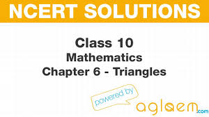 Printable pdf worksheets and covering all topics in the curriculum. Ncert Solutions For Class 10th Maths Chapter 6 Triangles Exercise 6 1 Question 2 Math Books Math Quadratics