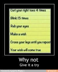 Share your wishes and your desires. Please Ifunny Funny Quotes Wish Quotes Quotes