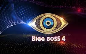 You can see the profession of each contestant and also you can read the complete bio of the contestant. Bigg Boss 4 Telugu Contestants List With Photos Official