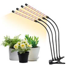 If your space doesn't have much natural light, you can run your lamps for up to 18 hours. Plant Light For Indoor Plants Livingbasics