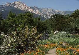 Explore The Garden The Santa Barbara Botanic Garden California Native Garden Water Tolerant Landscaping California Native Plants