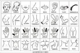 Parts Of The Body In Portuguese Learning Portuguese Brazil Learn Portuguese Learn Brazilian Portuguese