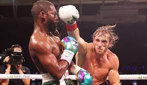 Logan paul reacts to floyd mayweather brawl: Ogl1yaec 6yu0m