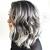 Black Hair With Silver Highlights Pictures
