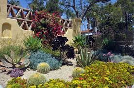 Water Wise Landscape After Landscape Designer San Diego Letz Design Xeriscape Water Wise Landscaping Xeriscape Plants