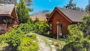 Adrasan ormanla iç içe konumu ve manzarası ile muhteşem bir doğa rotasıdır. Olympos Konaklama Icin En Iyi Alternatif Olympos Village Relaxury Hotel