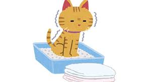 老猫 トイレ 介護 猫 猫 トイレ ペット