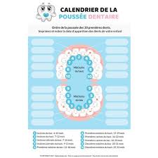 Calendrier Premieres Dents Pour Enfants Baby Album Pie Chart Chart