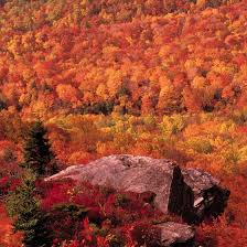 Maybe you would like to learn more about one of these? Campgrounds Near Grandfather Mountain Nc