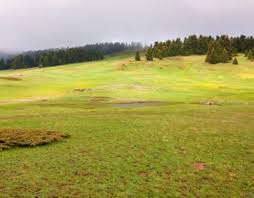 Check spelling or type a new query. I Lovegreece Com A3io8eata Drasthriothtes