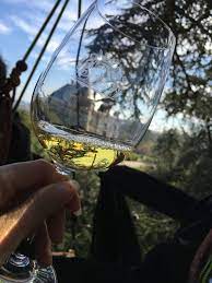 Chateau Rayne Vigneau Degustation Arbre Perche Hauteur Vue Assemblage Vin Bordeaux Bommes Sauternes Grand Cru Classe Oenotourisme 11 Vin Bordeaux Vins Vin
