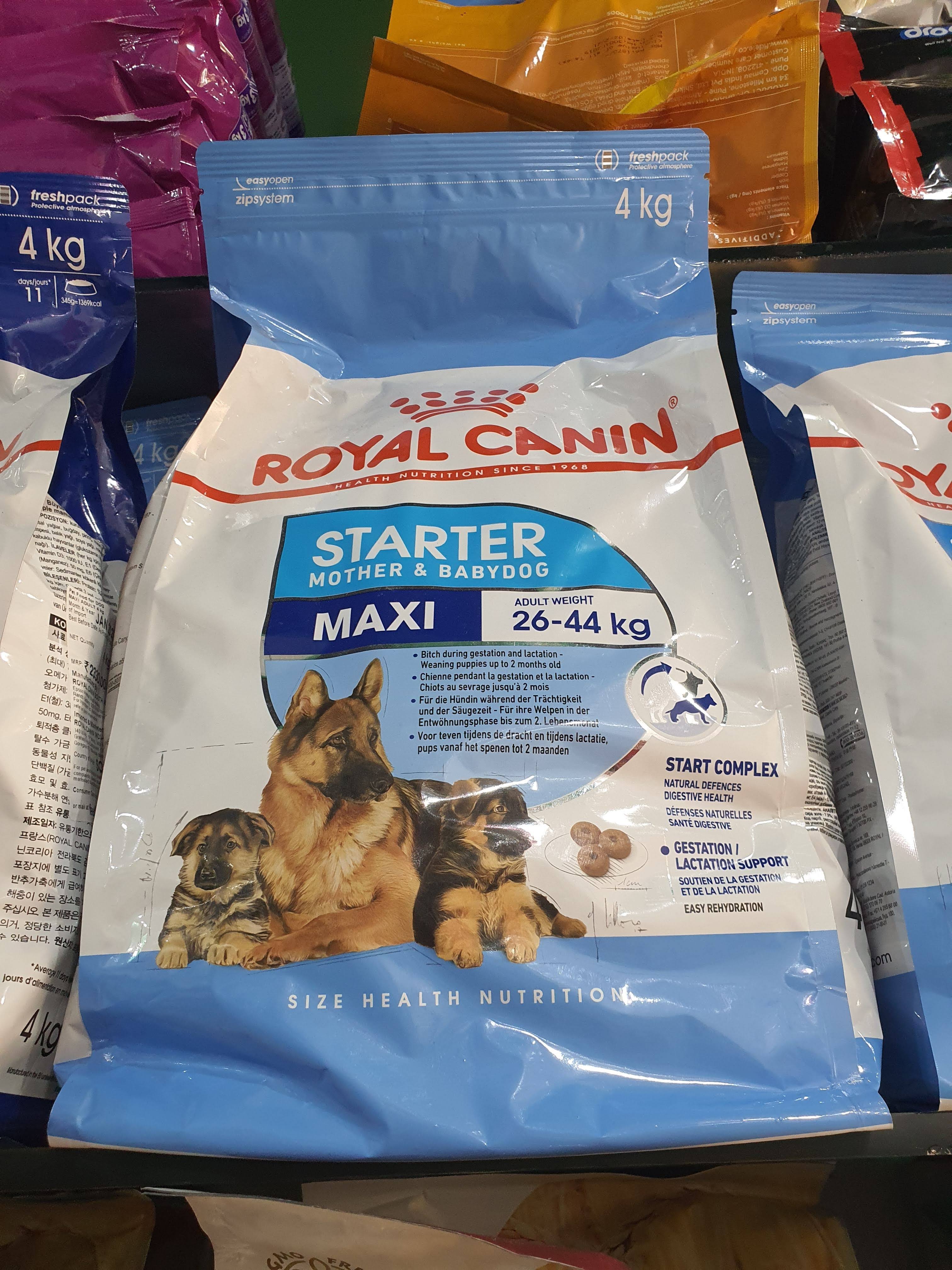 Royal canin Maxi Stater 4kg product image