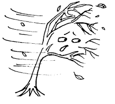 Free, printable coloring pages for adults that are not only fun but extremely relaxing. Hurricane Tree Coloring Page Free Print And Color Online