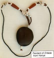 Image result for Entada gigas