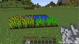 How To Farm In Minecraft