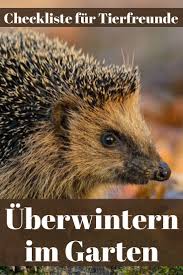 Uberwintern Im Garten Selbst De Igel Im Garten Garten Vogel Im Garten