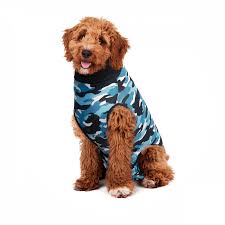 Recovery Suit Dog Suitical