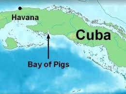 5 Things You Might Not Know About The Bay Of Pigs Invasion History
