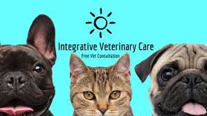 Paws offers this free veterinary care to pet owners that are living on a low income. Vet Body And Mind Home Facebook