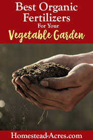 We did not find results for: 10 Best Organic Fertilizers For Your Vegetable Garden Homestead Acres