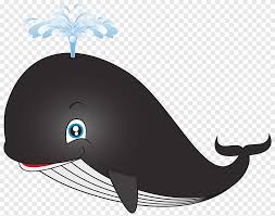 Check spelling or type a new query. Sperm Whale Cartoon Whale Cartoon Black Whale Illustration Marine Mammal Mammal Png Pngegg
