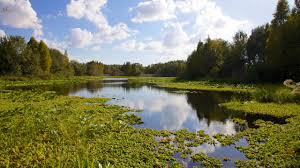 Maybe you would like to learn more about one of these? Florida Us Vacation Rentals House Rentals More Vrbo