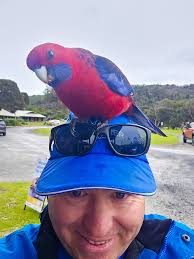 Customer Review The tour was excellent from start to end. The guides were  very welcoming and provided a great introduction including some ginger  tablets to counter sea sickness for everyone. They