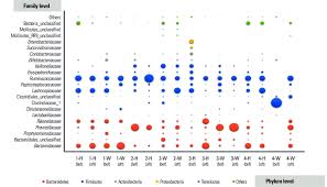 microbial profiling chart the size of the circles indicates