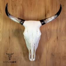Download in under 30 seconds. Scrub Art Australian Bull And Cow Skulls Hand Crafted Skulls