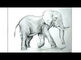How To Draw An Elephant Step By Step Pencil Shading Drawing Youtube Elephant Drawing Shading Drawing Animal Drawings