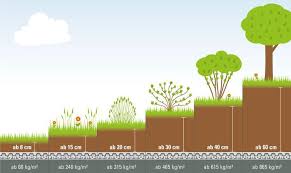 Bildergebnis Fur Aufbau Hohe Dachgarten Bepflanzung In 2020 Dachbegrunung Flachdach Begrunung Dachgarten
