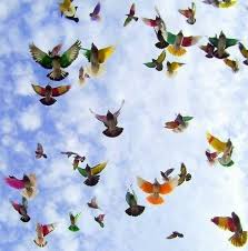 Colorful Birds Flying In The Sky Drawing Birds Flying Birds Flying Colorful Birds Painting