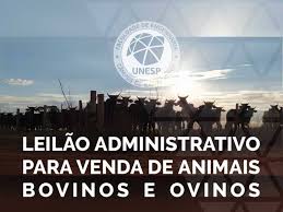 Unesp is one of the largest and most important brazilian universities, with distinguished achievements in teaching, research and extension services. Ak0adhbo92 Rm