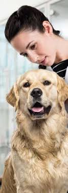 WAS KOMMT IN DEN FUTTERNAPF?