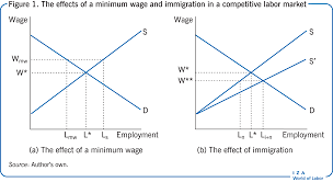 Iza World Of Labor Who Benefits From The Minimum Wage
