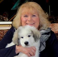 Nova Scotia duck tollers as family pets