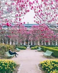 palais royal gardens paris france royal garden palais royal paris travel