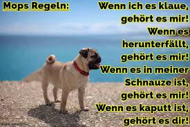 Wahrscheinlich können die tiere unseren großen kummer und unsere unendlichen sorgen nicht verstehen und ihre köpfe. Mops Zitate Und Spruche Mops De