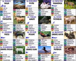 Perlu ketelitian untuk menghitung tafsir mimpi 2d abjad. Arti Mimpi Dan Tafsir Mimpi Menurut Islam Home Facebook