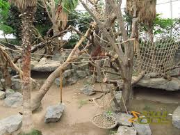 See 118 reviews, articles, and 88 photos of zoologischer garten magdeburg, ranked no.11 on tripadvisor among 115 attractions in magdeburg. Hamburg Zoo Tierpark Hagenbeck About Zoos