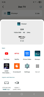 How to display what is being output on Sony Bravia TV : r/sony