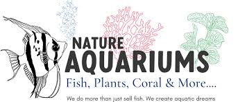 Seachem Flourish 10 Tabs - Aquatics Unlimited