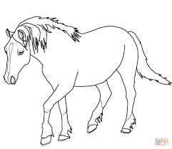 Feel free to print and color from the best 40+ rearing horse coloring pages at getcolorings.com. Wild Horse Printable Horse Coloring Pages Novocom Top