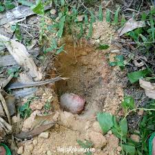 Set pengurusan uri papa harraz lengkap, mudah dan mengikuti syarak. Cara Basuh Uri Hafiz Rahim