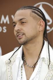 59 braids hairstyles for men. Male Braided Hair Style