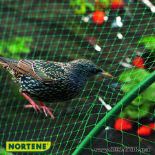 • угорщина і франція не грали один з одним 16 років; Zahisna Sitka Vid Ptahiv Birdnet Nortene 4 10 M Franciya Ugorshina Ispaniya V Kategorii Setki Sadovye Na Bigl Ua 642228186