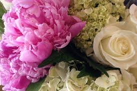 Check spelling or type a new query. Lady Brett S Flowers Elegant Floral Creations Cape Cod And The Islands