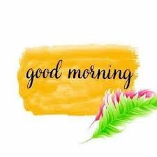 Looking for the best wisdom quotes? Wisdom Good Morning Quotes 735x735 Wallpaper Teahub Io